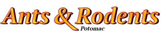Potomac Ant Exterminator & Rodent Control Company Logo